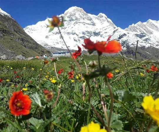 Trek Campo Base Annapurna